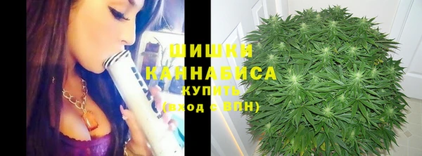 mdpv Богданович